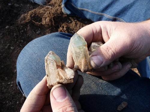 Quartz with chlorite, fresh from the earth. (Author: Pierre Joubert)