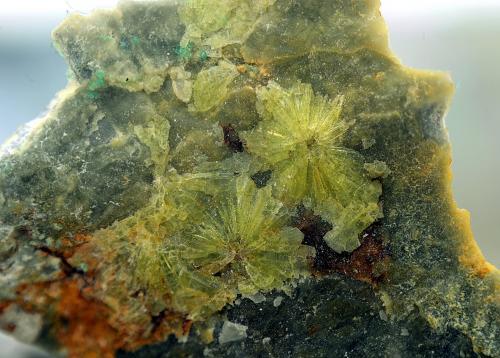 Wavellita<br />Palazuelo de las Cuevas, San Vicente de la Cabeza, Comarca Aliste, Zamora, Castilla y León, España<br />Enfoque de 12 mm.<br /> (Autor: Antonio Carmona)