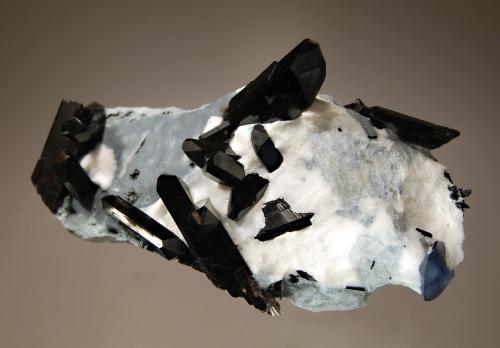 Neptunite<br />Mina California State Gem (Benitoite Gem Mine), Zona San Benito River headwaters, Pico Santa Rita, Distrito New Idria, Condado San Benito, California, USA<br />3.3 x 6.2 cm<br /> (Author: crosstimber)