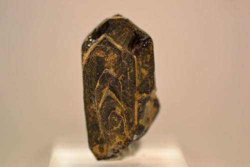 Euxenita-(Y)<br />Ambatofotsikely, Comuna Fidirana, Distrito Betafo, Región Vakinankaratra, Madagascar<br />2,5 x1,2 x 0,8 cm<br /> (Autor: Raul S. Llorente)