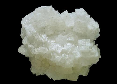 Halita<br />Salero de la Rosa (Salinas de la Rosa), Cabezo de la Rosa, Casas del Puerto, Jumilla, Comarca Altiplano, Región de Murcia (Murcia), España<br />6 x 6 cm<br /> (Autor: Antonio Carmona)