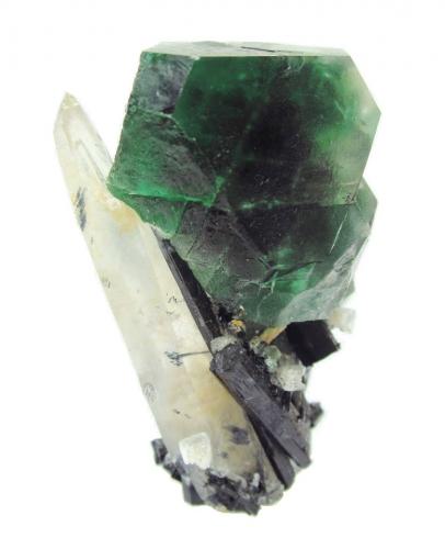 Fluorite, quartz, schorl, beryl<br />Davib East Farm 61 (Davib Ost Farm), Karibib District, Erongo Region, Namibia<br />Specimen height 6,5 cm, fluorite measures 4 cm, quartz 6 cm, largest schorls 6 cm, the tiny beryls 3-4 mm<br /> (Author: Tobi)