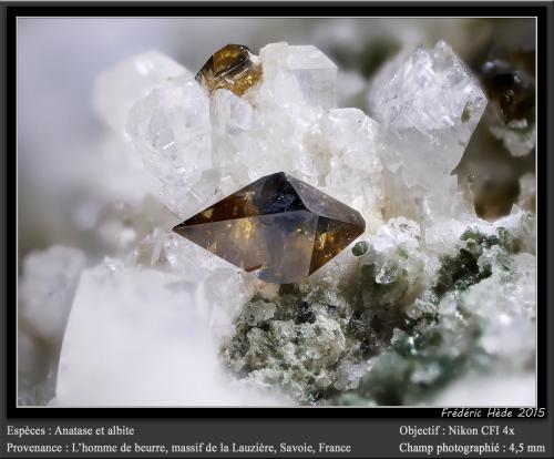 Anatase, albite<br />L'Homme de Beurre, Macizo La Lauzière, Saint-Jean-de-Maurienne, Saboya, Auvergne-Rhône-Alpes, Francia<br />fov 4.5 mm<br /> (Author: ploum)