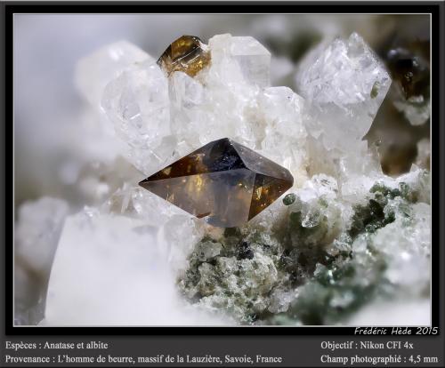 Anatase, albite<br />L'Homme de Beurre, La Lauzière Massif, Saint-Jean-de-Maurienne, Savoie, Auvergne-Rhône-Alpes, France<br />fov 4.5 mm<br /> (Author: ploum)