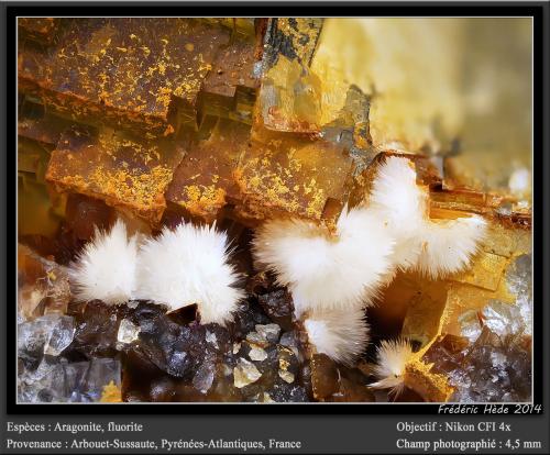 Aragonite, Fluorite<br />Birrity Quarry, Arbouet-Sussaute, Pyrénées-Atlantiques, Nouvelle-Aquitaine, France<br />fov 4.5 mm<br /> (Author: ploum)