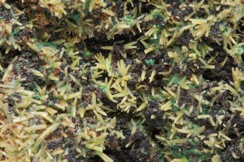 Piromorfita, Heterogenita, Vauquelinita, Pseudomalaquita<br />Kipushi Mine, Kipushi, Katanga Copper Crescent, Katanga (Shaba), Democratic Republic of the Congo (Zaire)<br />campo de visión de unos 30 mm<br /> (Autor: Iván Blanco (PDM))