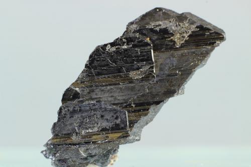 Ferberita<br />Minas da Panasqueira, Aldeia de São Francisco de Assis, Covilhã, Castelo Branco, Cova da Beira, Centro, Portugal<br />27x24 mm<br /> (Autor: Juan Espino)