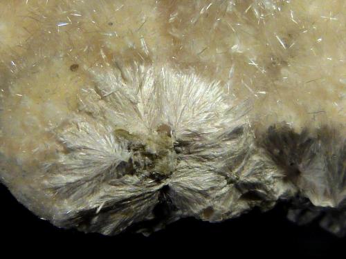 Okenita<br />Cantera Malad, Malad, Mumbai (Bombay), Distrito Mumbai, Maharashtra, India<br />10 x 4,5 x 7 cm.<br /> (Autor: Felipe Abolafia)