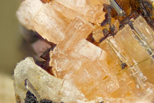 Serandite<br />Cantera Poudrette, Mont Saint-Hilaire, La Vallée-du-Richelieu RCM, Montérégie, Québec, Canadá<br />FOV = 4mm<br /> (Author: Doug)