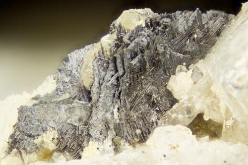 Rutile<br />Poudrette Quarry, Mont Saint-Hilaire, La Vallée-du-Richelieu RCM, Montérégie, Québec, Canada<br />FOV = 4mm<br /> (Author: Doug)