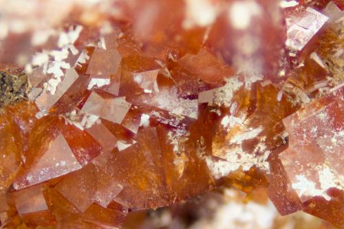Rhodochrosite<br />Cantera Poudrette, Mont Saint-Hilaire, La Vallée-du-Richelieu RCM, Montérégie, Québec, Canadá<br />FOV = 4mm<br /> (Author: Doug)