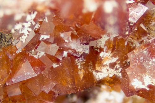 Rhodochrosite<br />Poudrette Quarry, Mont Saint-Hilaire, La Vallée-du-Richelieu RCM, Montérégie, Québec, Canada<br />FOV = 4mm<br /> (Author: Doug)