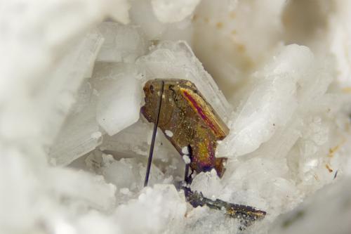 pyrrhotite<br />Poudrette Quarry, Mont Saint-Hilaire, La Vallée-du-Richelieu RCM, Montérégie, Québec, Canada<br />FOV = 4mm<br /> (Author: Doug)