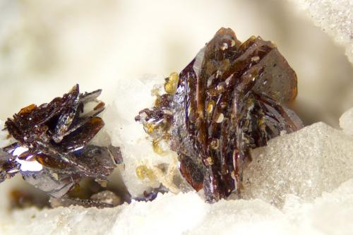 Pyrophanite<br />Poudrette Quarry, Mont Saint-Hilaire, La Vallée-du-Richelieu RCM, Montérégie, Québec, Canada<br />FOV = 4mm<br /> (Author: Doug)