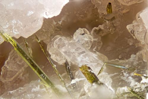 Ussingite, Aegirine<br />Poudrette Quarry, Mont Saint-Hilaire, La Vallée-du-Richelieu RCM, Montérégie, Québec, Canada<br />FOV = 2mm<br /> (Author: Doug)
