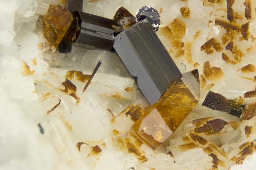Titanite, Amphibole Group Mineral, Molybdneite<br />Poudrette Quarry, Mont Saint-Hilaire, La Vallée-du-Richelieu RCM, Montérégie, Québec, Canada<br />FOV = 4mm<br /> (Author: Doug)