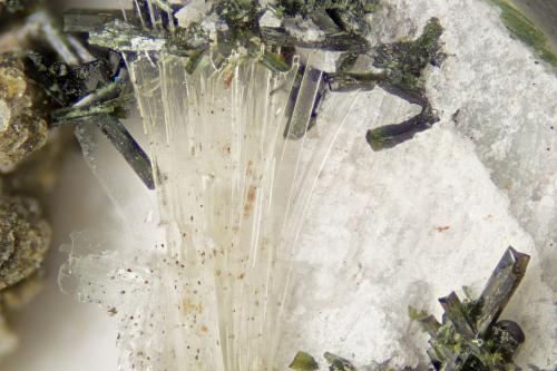 Tainoiolite<br />Poudrette Quarry, Mont Saint-Hilaire, La Vallée-du-Richelieu RCM, Montérégie, Québec, Canada<br />FOV = 4mm<br /> (Author: Doug)