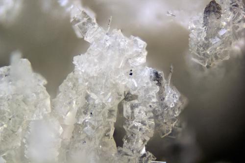 Fluorite, Elpidite<br />Poudrette Quarry, Mont Saint-Hilaire, La Vallée-du-Richelieu RCM, Montérégie, Québec, Canada<br />FOV = 2mm<br /> (Author: Doug)