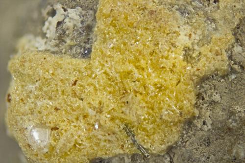 Wulfenite<br />Poudrette Quarry, Mont Saint-Hilaire, La Vallée-du-Richelieu RCM, Montérégie, Québec, Canada<br />FOV = 2mm<br /> (Author: Doug)