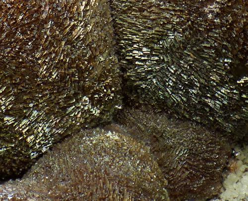 Calcita, Goethita, limonita.<br />De Las Angustias ravine, El Paso, La Palma, Santa Cruz de Tenerife Province, Canary Islands, Spain<br />2 mm. los cristales<br /> (Autor: canada)