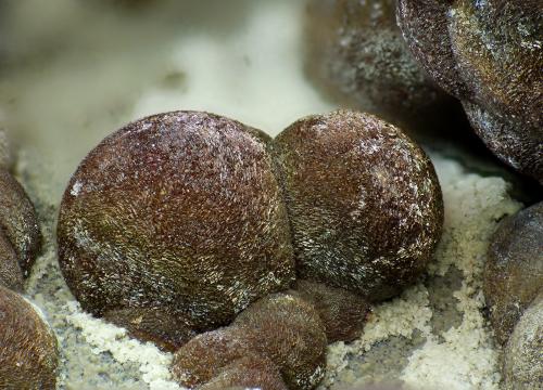 Calcita, Goethita, limonita.<br />De Las Angustias ravine, El Paso, La Palma, Santa Cruz de Tenerife Province, Canary Islands, Spain<br />2 mm. los cristales<br /> (Autor: canada)