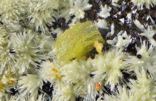 Mimetita, piromorfita y mottramita.<br />Cerro Colorado, Rodalquilar, Níjar, Comarca Metropolitana de Almería, Almería, Andalucía, España<br />Campo de visión de 1,5 mm<br /> (Autor: Antonio Carmona)