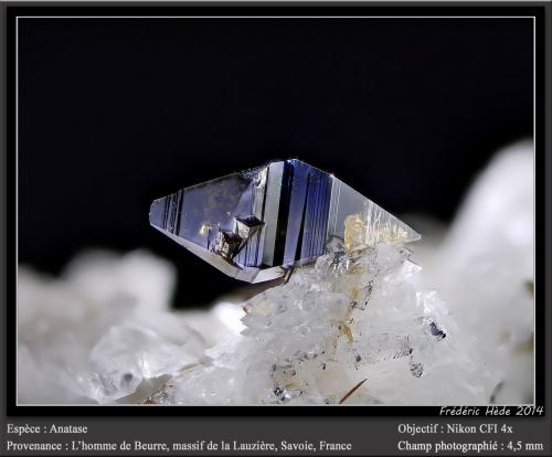 Anatase<br />L'Homme de Beurre, Macizo La Lauzière, Saint-Jean-de-Maurienne, Saboya, Auvergne-Rhône-Alpes, Francia<br />fov 4 mm<br /> (Author: ploum)