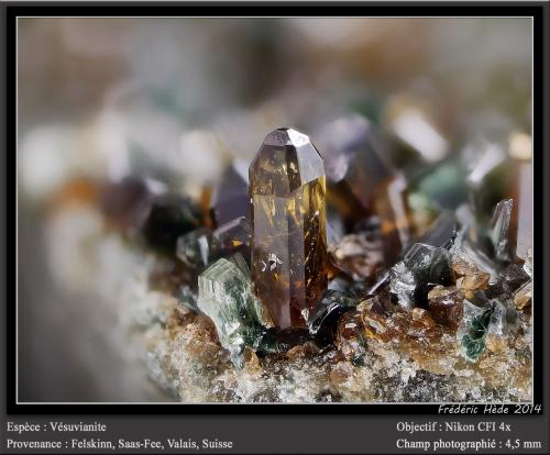 Vesuvianite and Clinochlore<br />Felskinn, Glaciar Fee, Saas Fee, Valle Saas, Zermatt - Saas Fee, Wallis (Valais), Suiza<br />fov 4,5 mm<br /> (Author: ploum)