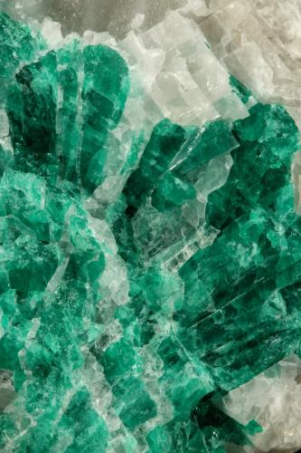 Beryl (variety emerald), Calcite<br />La Pita mining district, Municipio Maripí, Western Emerald Belt, Boyacá Department, Colombia<br />7cm across<br /> (Author: Fiebre Verde)