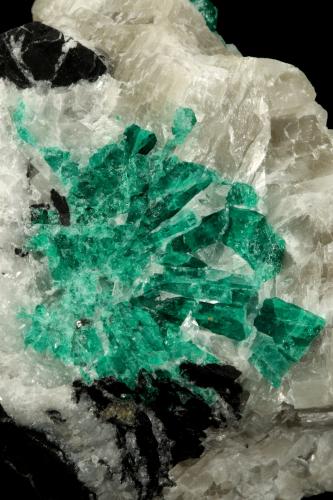 Beryl (variety emerald), Calcite<br />La Pita mining district, Municipio Maripí, Western Emerald Belt, Boyacá Department, Colombia<br />7cm across<br /> (Author: Fiebre Verde)