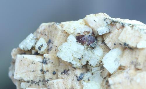 Almandino (Grupo Granate) con Microclina y Albita<br />Can Vernenc, Montnegre Mountains, La Batllòria, Sant Celoni, Comarca Vallès Oriental, Barcelona, Catalonia / Catalunya, Spain<br />3 x 3 x 2 cm<br /> (Autor: karbu8)