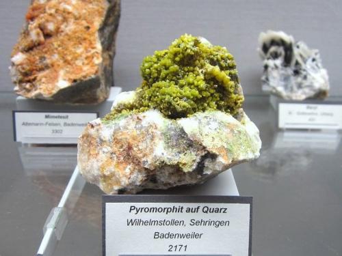 Pyromorphite<br />Sehringen, Zona minera Badenweiler, Badenweiler, Selva Negra, Baden-Württemberg, Alemania<br />Size approx. 9 cm<br /> (Author: Tobi)