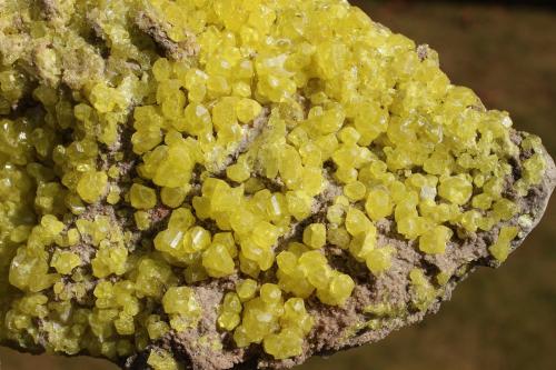 Azufre<br />El Desierto Mine, San Pablo de Napa, Daniel Campos Province, Potosí Department, Bolivia<br />C.V. 10 cm aprox.<br /> (Autor: Iván Blanco (PDM))