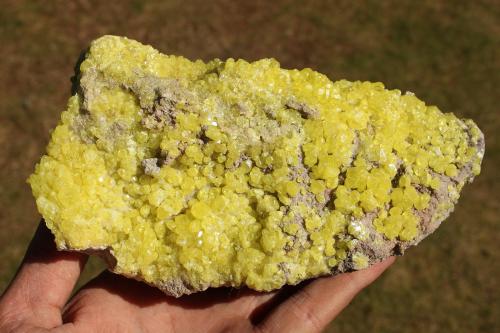 Azufre<br />El Desierto Mine, San Pablo de Napa, Daniel Campos Province, Potosí Department, Bolivia<br />20 x 10 cm aprox.<br /> (Autor: Iván Blanco (PDM))