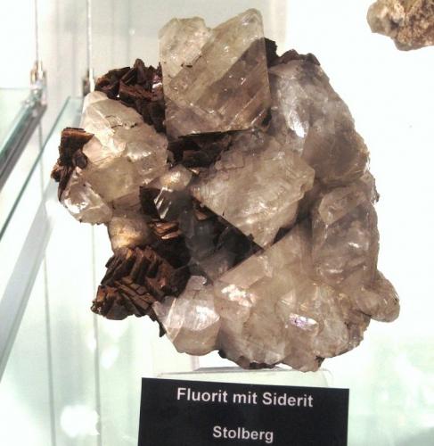 Fluorite on siderite<br />Stolberg, Distrito Mansfeld-Südharz, Harz, Sajonia-Anhalt/Sachsen-Anhalt, Alemania<br />Specimen size approx. 12 cm<br /> (Author: Tobi)
