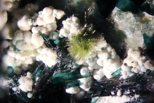 Atacamite and chrysocolla<br />La Farola Mine, Cerro Pintado, Las Pintadas District, Tierra Amarilla, Copiapó Province, Atacama Region, Chile<br />FOV 20 mm<br /> (Author: Adrian Pripoae)