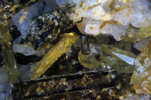 Titanite and Epidote<br />Capelinha, Jequitinhonha, Minas Gerais, Brazil<br />FOV = 15 mm<br /> (Author: Adrian Pripoae)