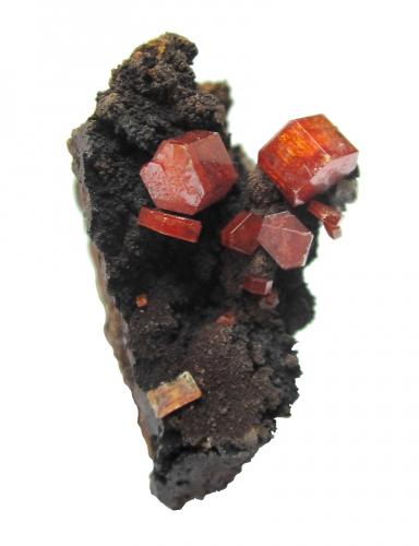 Vanadinite<br />Taouz, Er Rachidia Province, Drâa-Tafilalet Region, Morocco<br />Largest vanadinite 5 mm, specimen height 4 cm<br /> (Author: Tobi)