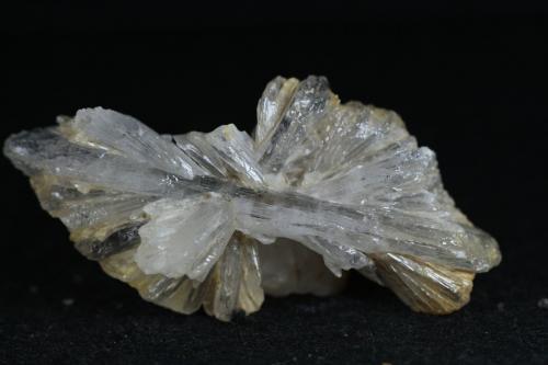 Yeso<br />Clay Quarry, La Cañada de Verich, Comarca del Bajo Aragón, Teruel, Aragon, Spain<br />7.5  x 4 cm<br /> (Autor: Ángel Rodríguez Benavent)