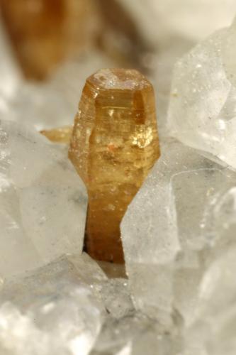 Beryl (variety emerald), Calcite, Parisite<br />La Pita mining district, Municipio Maripí, Western Emerald Belt, Boyacá Department, Colombia<br />Detail - H=3mm<br /> (Author: Fiebre Verde)