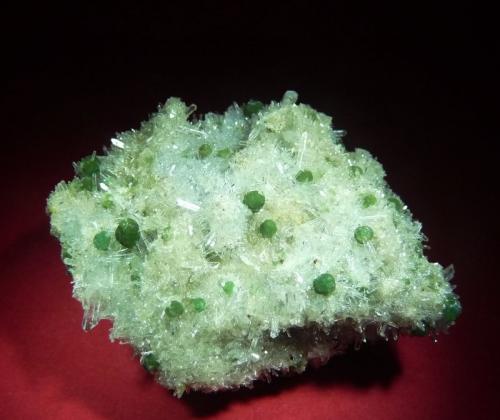 Cookeita y Cuarzo.<br />Mina Stand-on-Your-Head No. 1, Bland, Saline County, Arkansas, USA<br />60x45 mm.<br /> (Autor: Jesus Franquesa Baucells)