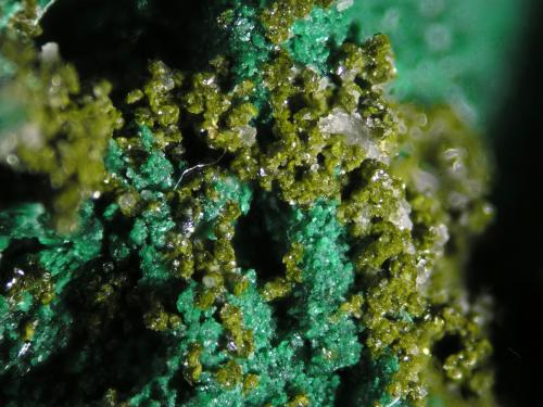 Tangeite<br />Mina Milpillas, Cuitaca, Municipio Santa Cruz, Sonora, México<br />FOV 2 mm<br /> (Author: Cesar M. Salvan)