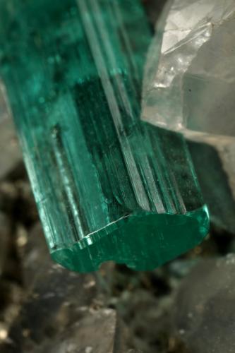 Beryl (variety emerald), Calcite, Pyrite, Dolomite<br />Chivor mining district, Municipio Chivor, Eastern Emerald Belt, Boyacá Department, Colombia<br />98x70x38mm, xl=31mm<br /> (Author: Fiebre Verde)