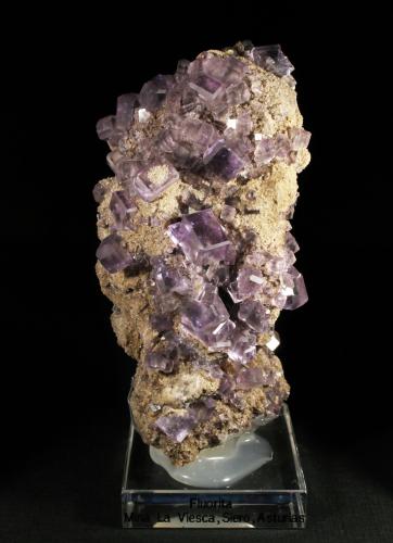 Fluorita<br />Mina La Viesca, zona minera de La Collada, Huergo, Siero, Comarca Oviedo, Principado de Asturias (Asturias), España<br />9 x 5 cm. (Cristal mayor: 1 cm).<br /> (Autor: Darío Menéndez)