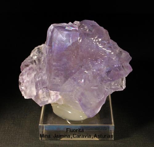 Fluorita<br />Mina Jaimina, filón Obdulia, Zona Minera Caravia, Trechorio, Carrales, Caravia, Comarca Oriente, Principado de Asturias (Asturias), España<br />6 x 5 cm. (Cristal mayor: 3,2 cm).<br /> (Autor: Darío Menéndez)