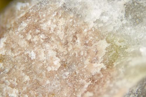 Meionite<br />Poudrette Quarry, Mont Saint-Hilaire, La Vallée-du-Richelieu RCM, Montérégie, Québec, Canada<br />FOV = 5mm<br /> (Author: Doug)