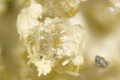Gaidonnayite<br />Poudrette Quarry, Mont Saint-Hilaire, La Vallée-du-Richelieu RCM, Montérégie, Québec, Canada<br />FOV = 2mm<br /> (Author: Doug)