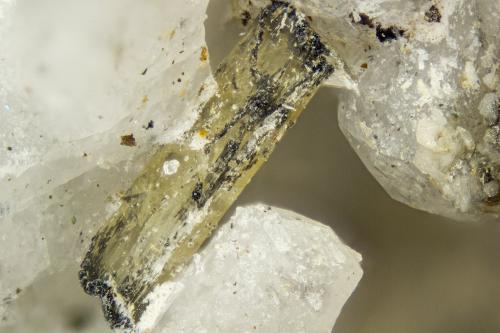 Hiortdahlite<br />Poudrette Quarry, Mont Saint-Hilaire, La Vallée-du-Richelieu RCM, Montérégie, Québec, Canada<br />FOV = 2mm<br /> (Author: Doug)