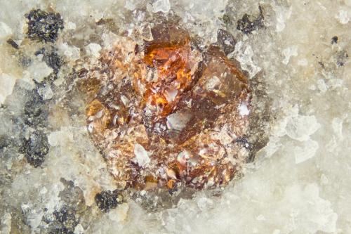 Almandine<br />Poudrette Quarry, Mont Saint-Hilaire, La Vallée-du-Richelieu RCM, Montérégie, Québec, Canada<br />FOV = 4mm<br /> (Author: Doug)