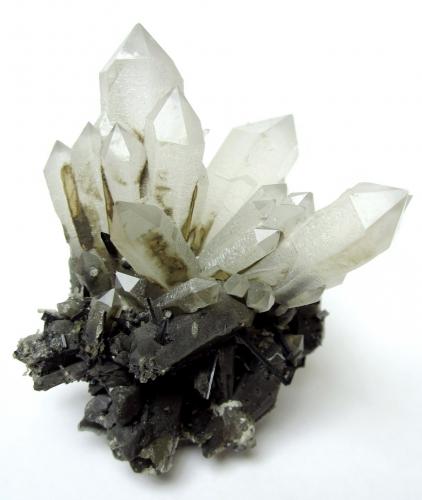 Quartz, tourmaline<br />Madagascar<br />Specimen height 7 cm<br /> (Author: Tobi)